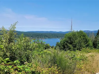 View 12