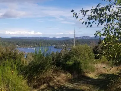 View 5