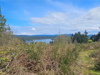 View 24