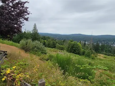 View 10