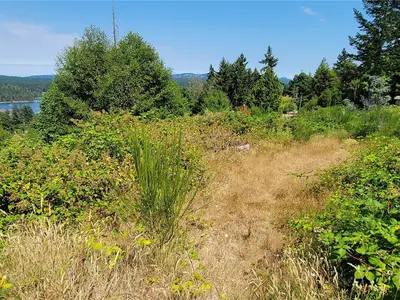 View 14