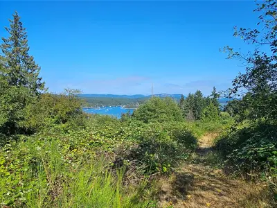 View 18