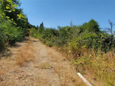 View 15