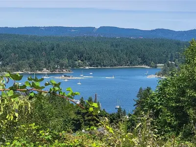 View 11