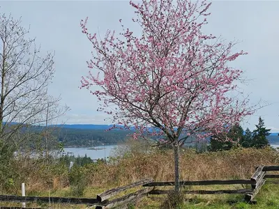 View 21