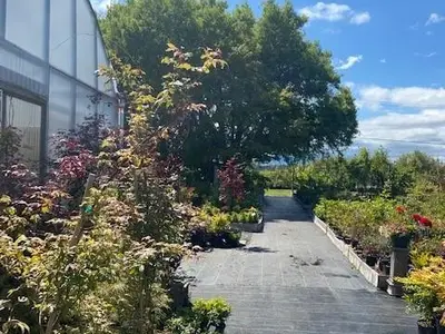 View 56