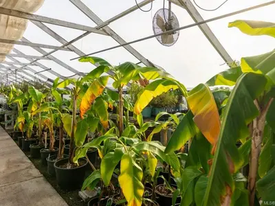 View 16