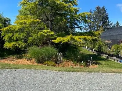 View 36