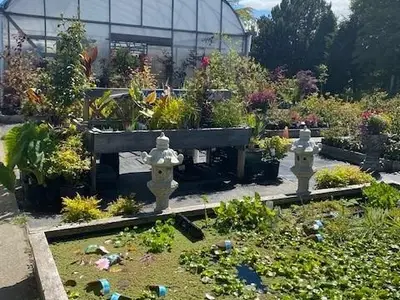 View 55