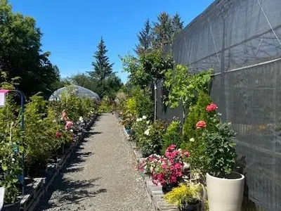 View 37