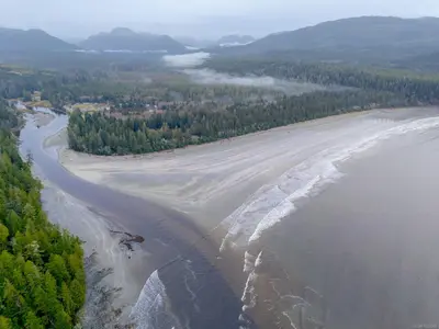 View 80