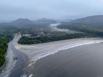 View 81