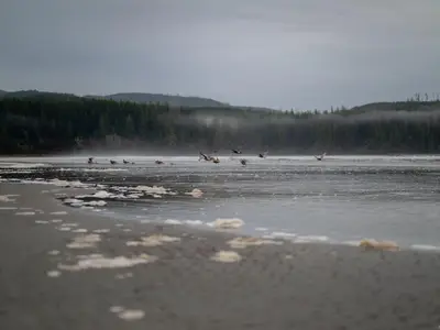 View 55