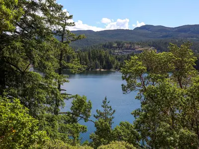 View 71