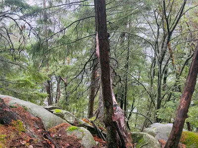 View 6