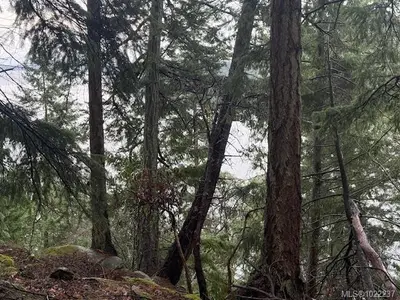 View 7