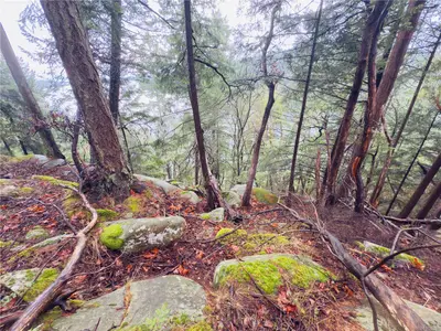 View 5