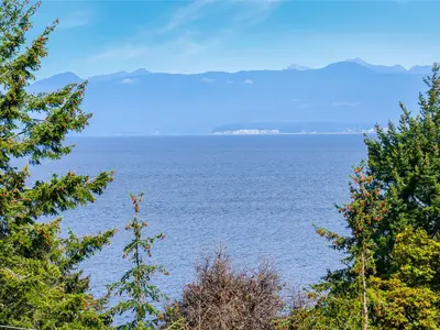 View 35