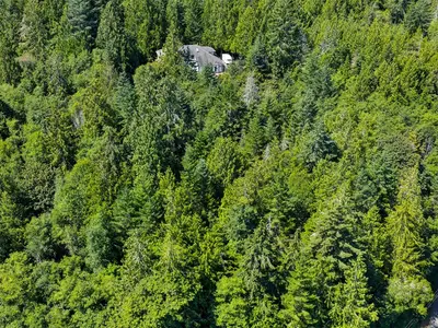 View 24