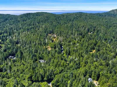 View 14