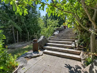 View 51