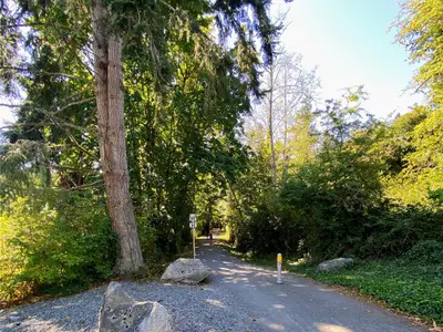 View 14