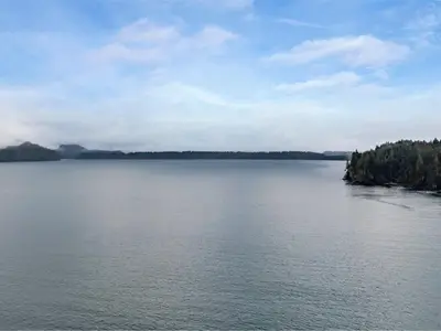 View 24