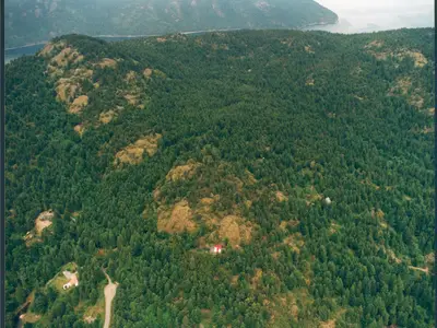 View 64
