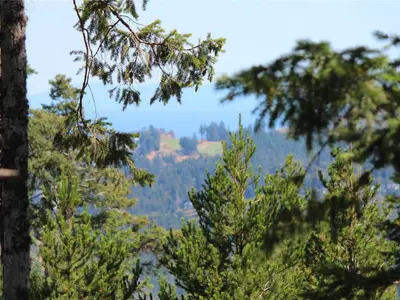 View 6