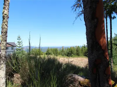 View 42