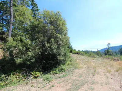 View 13