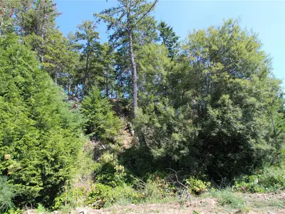 View 17