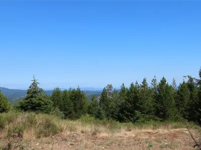 View 12