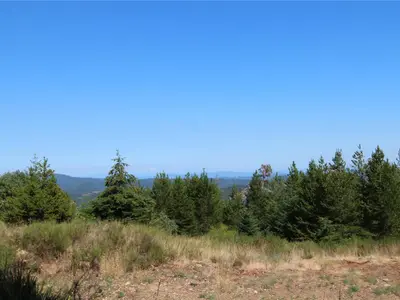 View 26