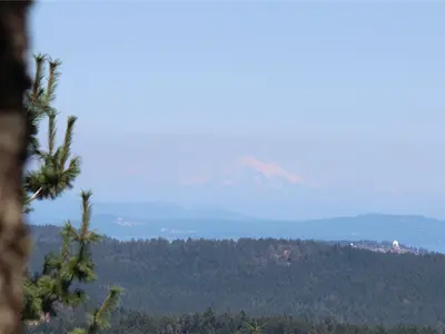 View 22