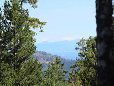 View 36