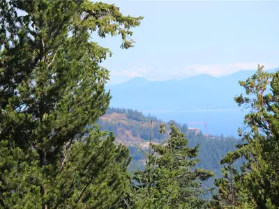 View 32