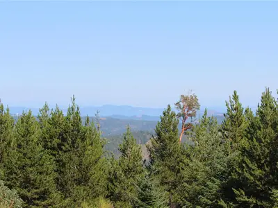 View 1