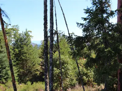 View 28