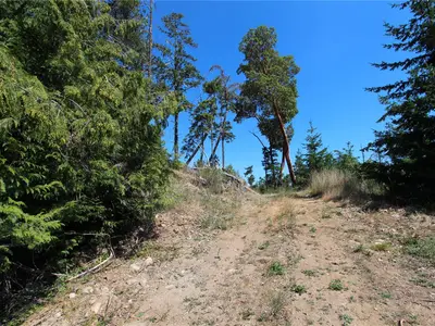 View 24