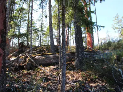 View 30