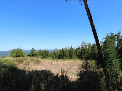 View 34