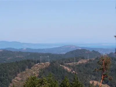 View 38