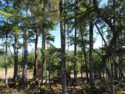 View 49