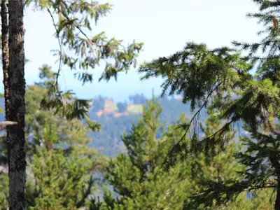 View 33