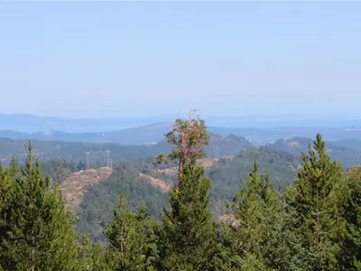 View 14