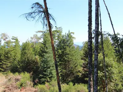 View 51