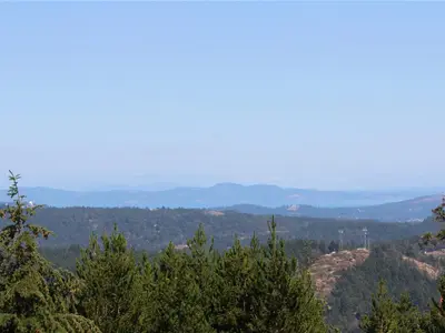View 50