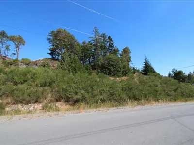 View 37