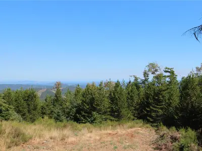 View 15